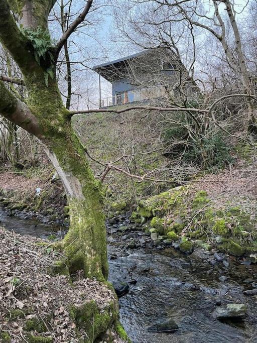 Luxury Lodge In The Treetops Llanbrynmair ภายนอก รูปภาพ
