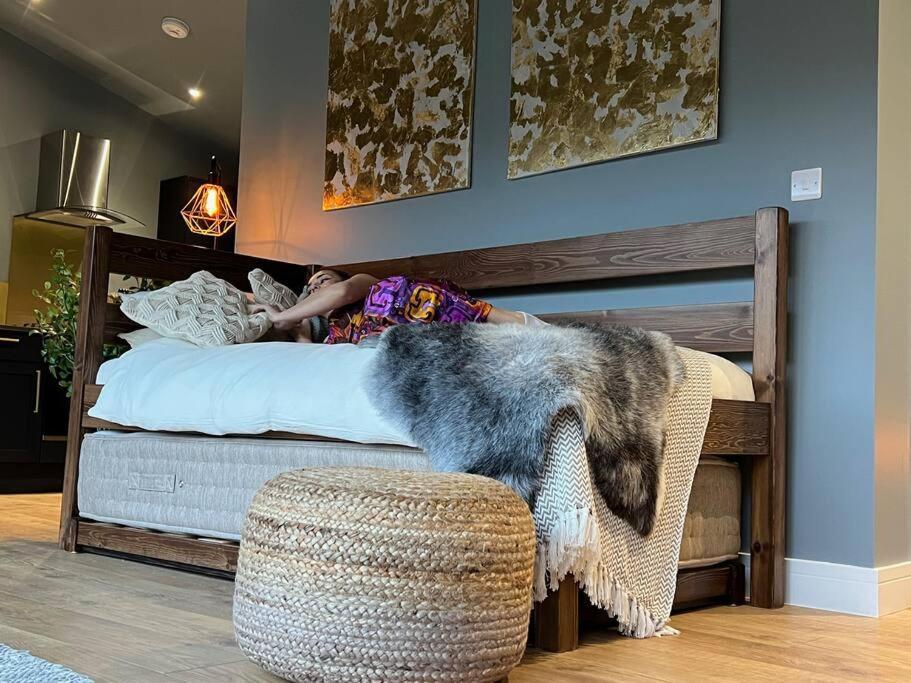 Luxury Lodge In The Treetops Llanbrynmair ภายนอก รูปภาพ